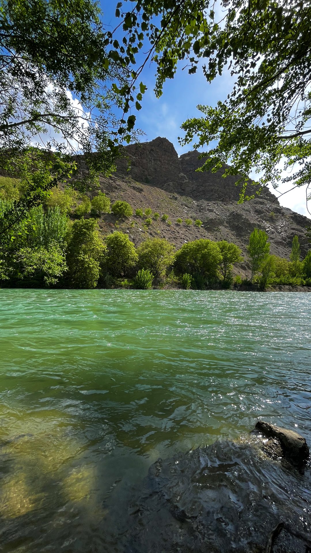 -املاک رادمان