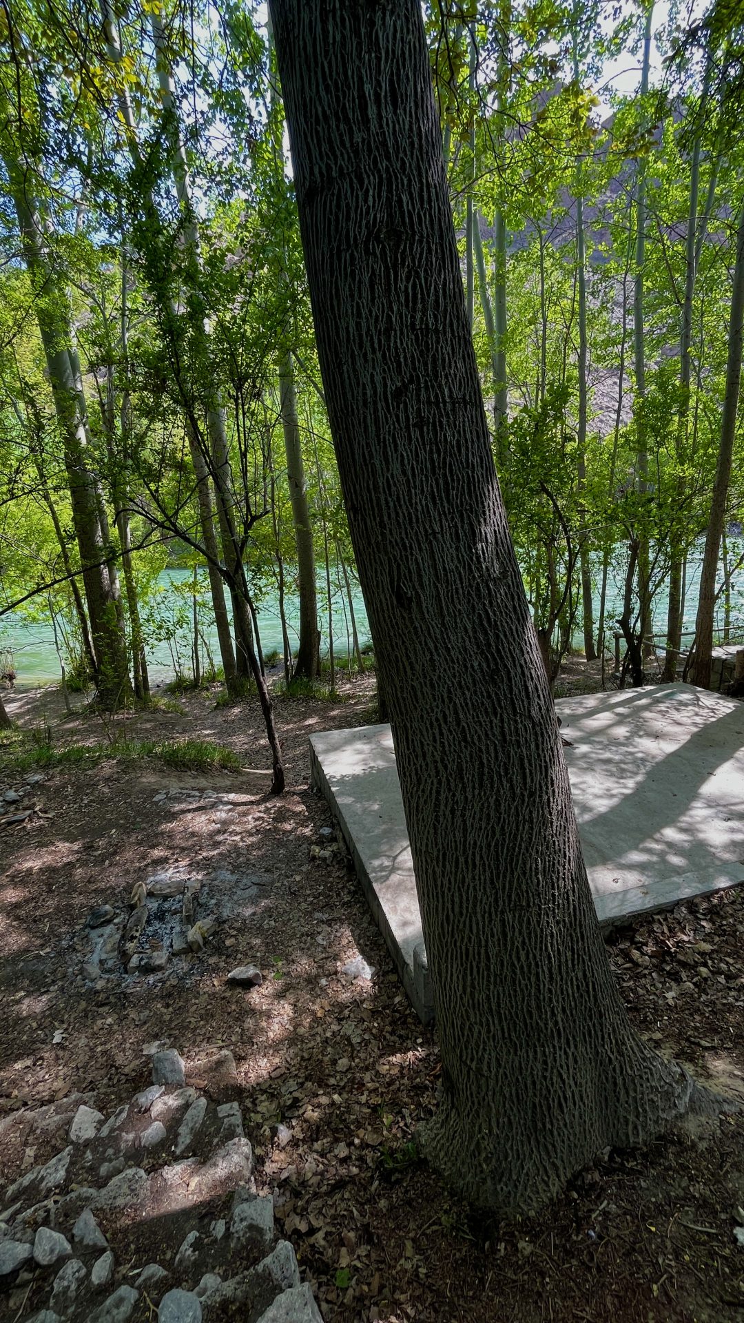 -املاک رادمان